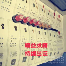 深圳餐飲服務 融合、創新與城市脈搏